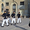 l11